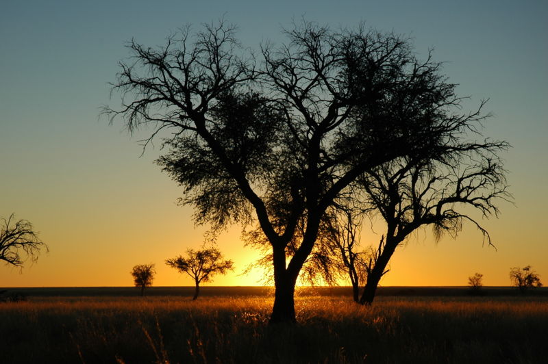 800px Namibie Namib Naukluft Park Sunset 02